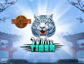 qual o placar do jogo do corinthians e grêmio