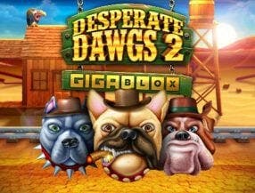 jogos ao vivo amistoso
